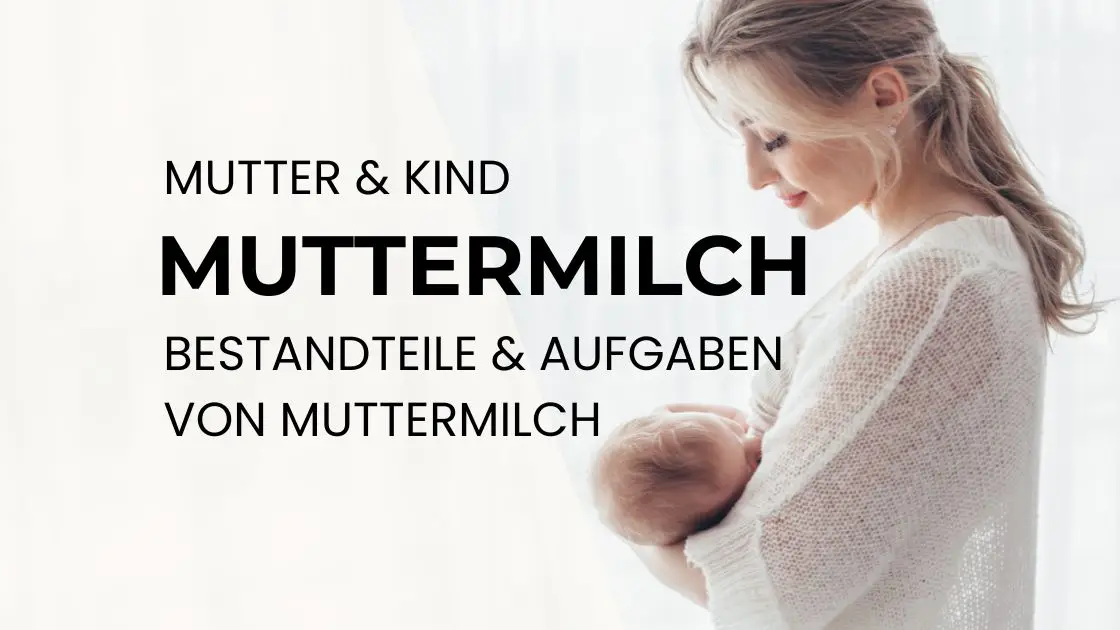 MommyMentor Muttermilch Bestandteile & Aufgaben der Muttermilch